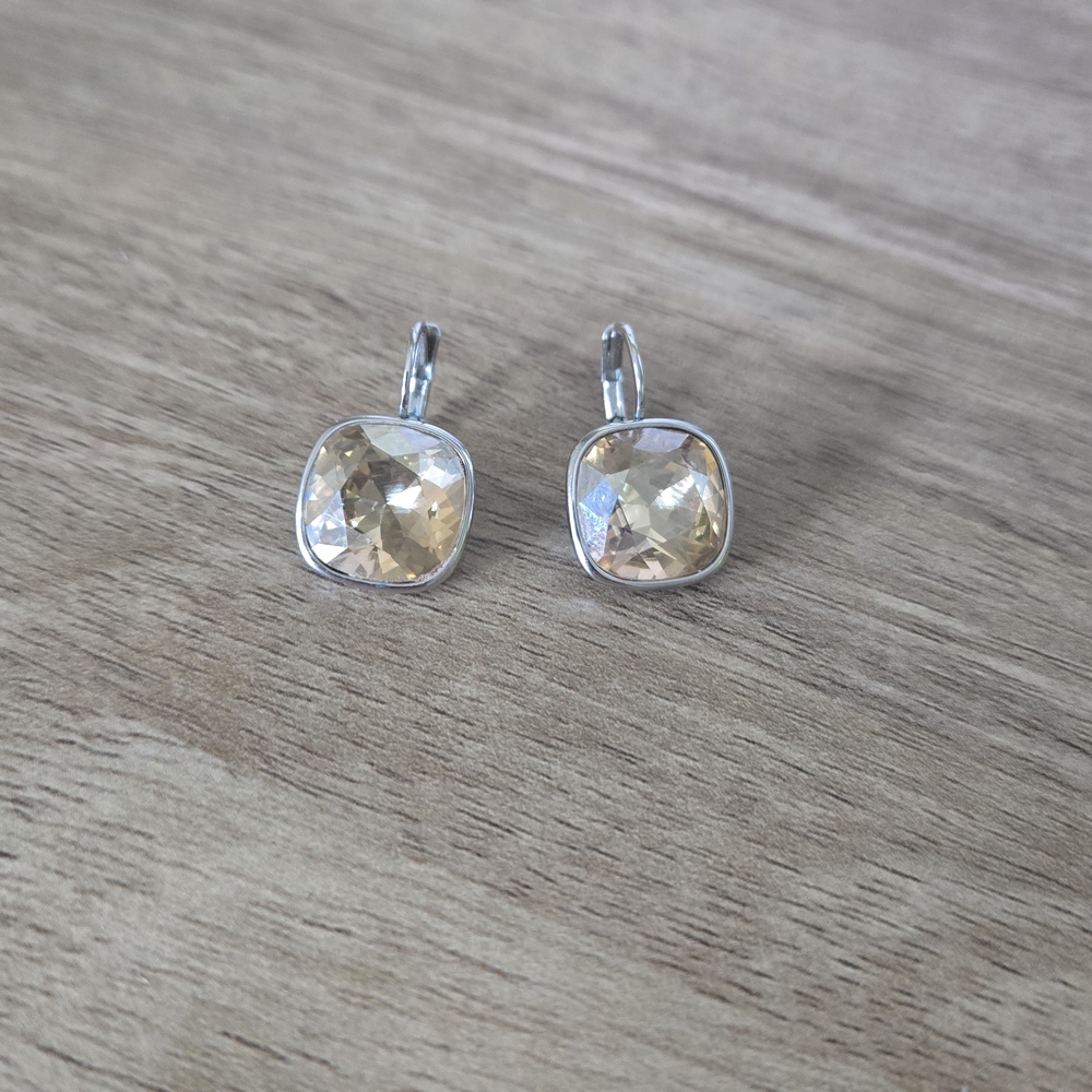 Elegant Silver and Gold-Toned Earrings